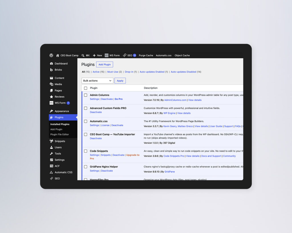 WordPress plugin management screen showing installed plugins, version details, and automatic update controls.